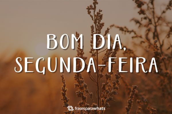 bom dia segunda com energia