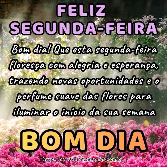frases de fé para segunda-feira