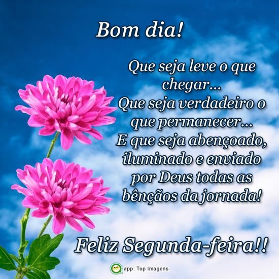 começar a semana bem frases
