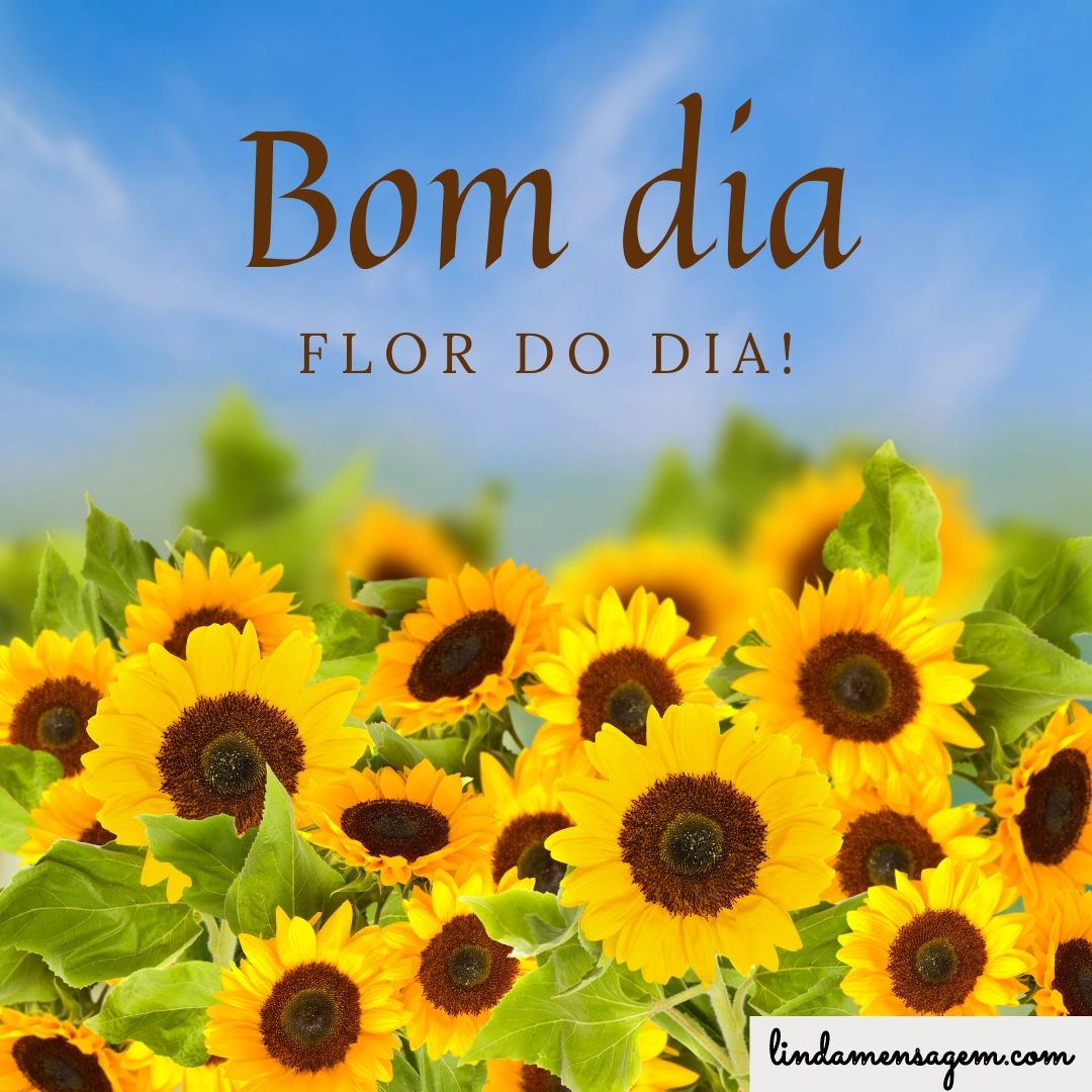 bom dia com flores e mensagens