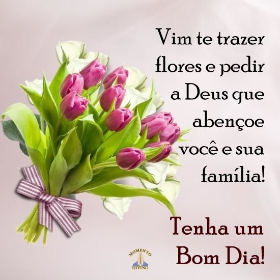 imagens de bom dia com flores