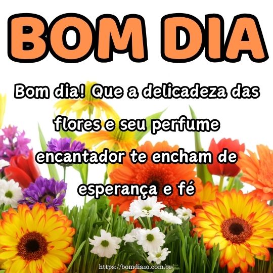 significado de flores para bom dia