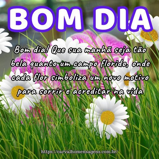 flores e primavera frases
