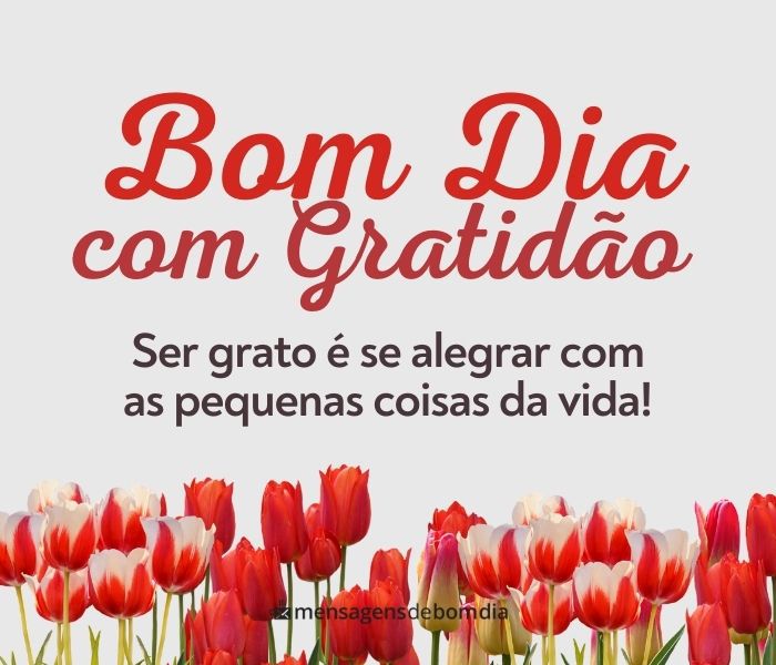 bom dia com gratidão e fé