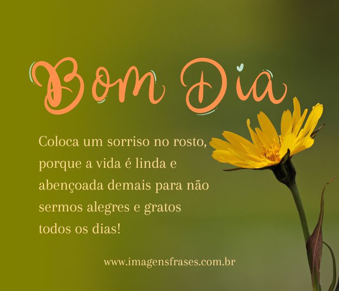 bom dia com gratidão a Deus