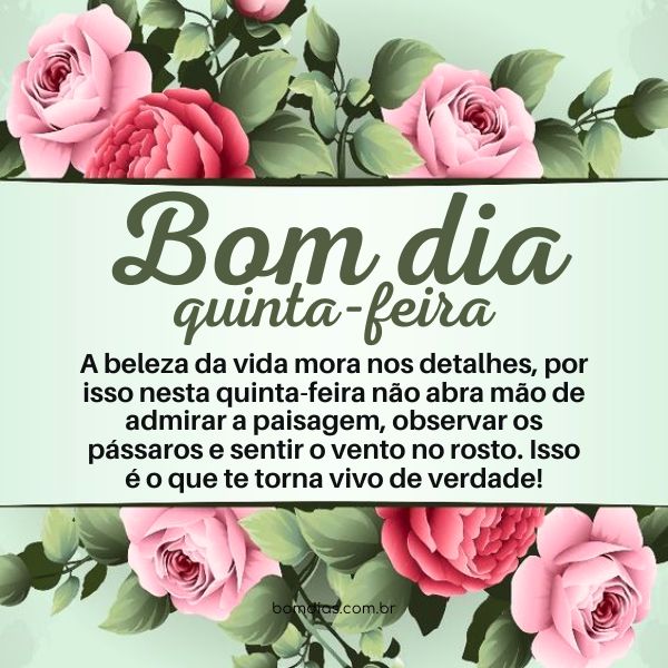 bom dia quinta-feira para amigos