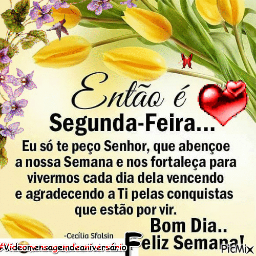 bom dia segunda-feira de gratidão