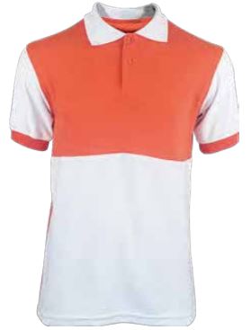 bordados de 2 colores