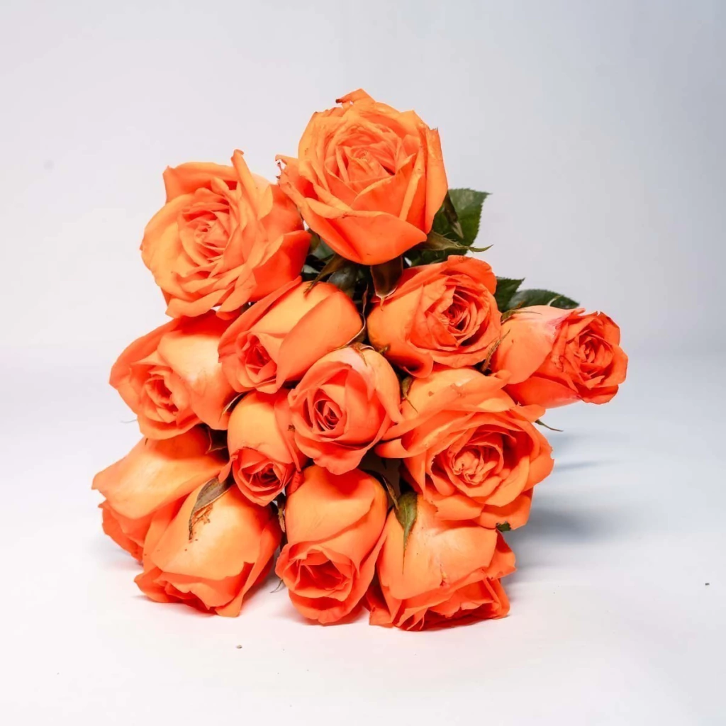 floricultura online flores laranja