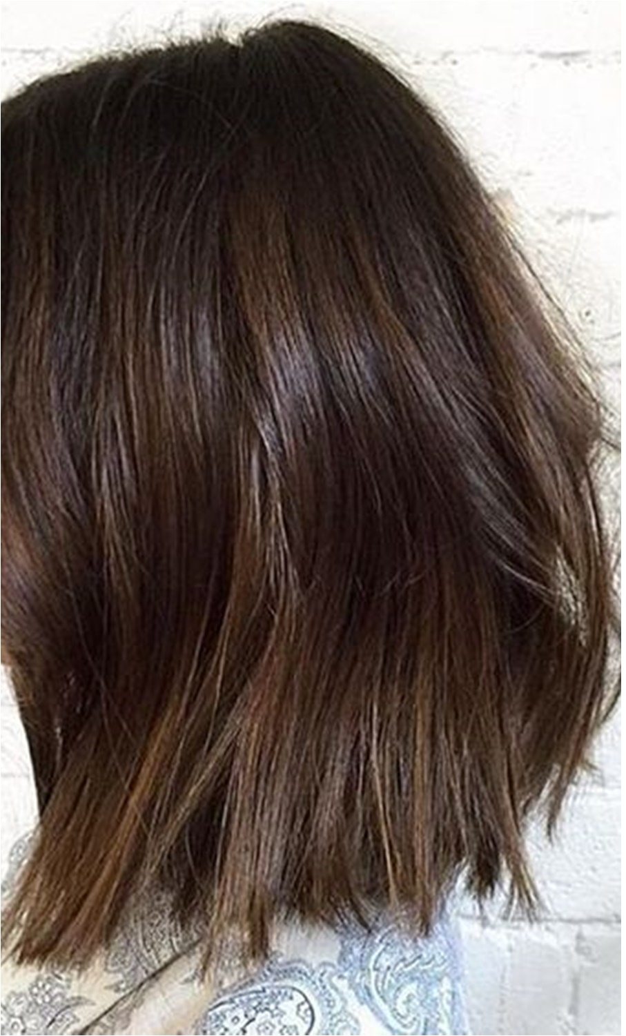 castanho iluminado vs bronde qual escolher