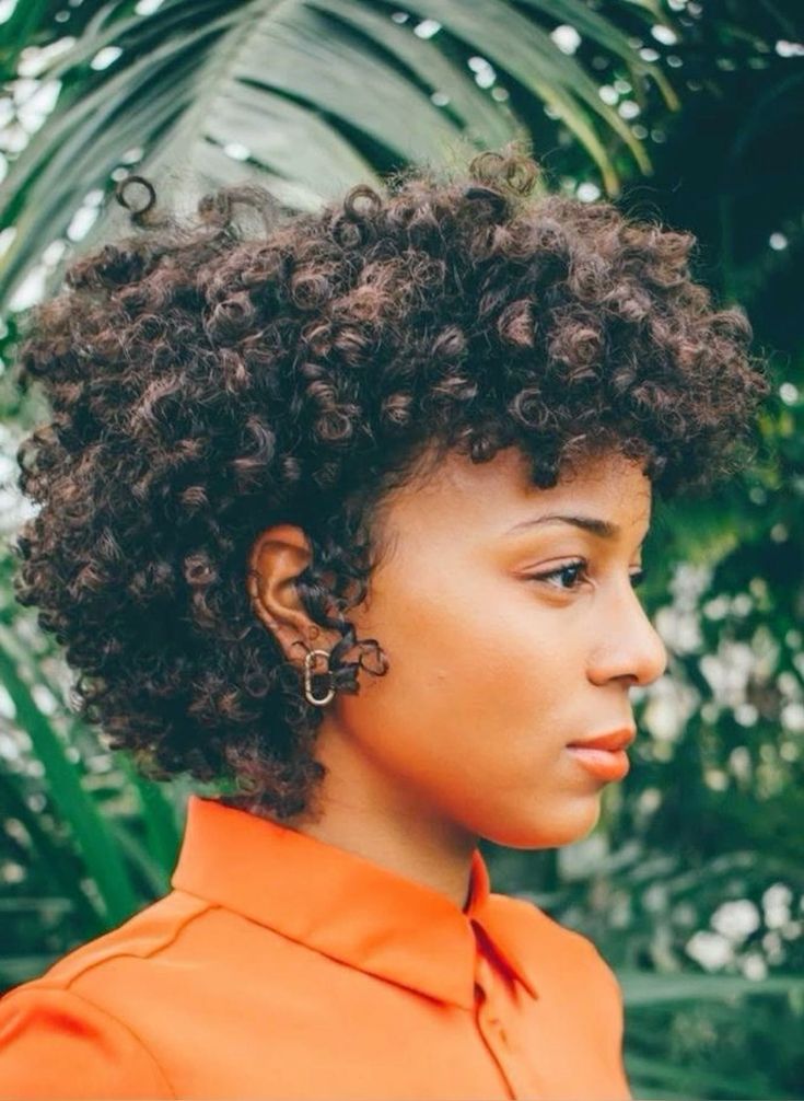 transição capilar cabelo crespo curto