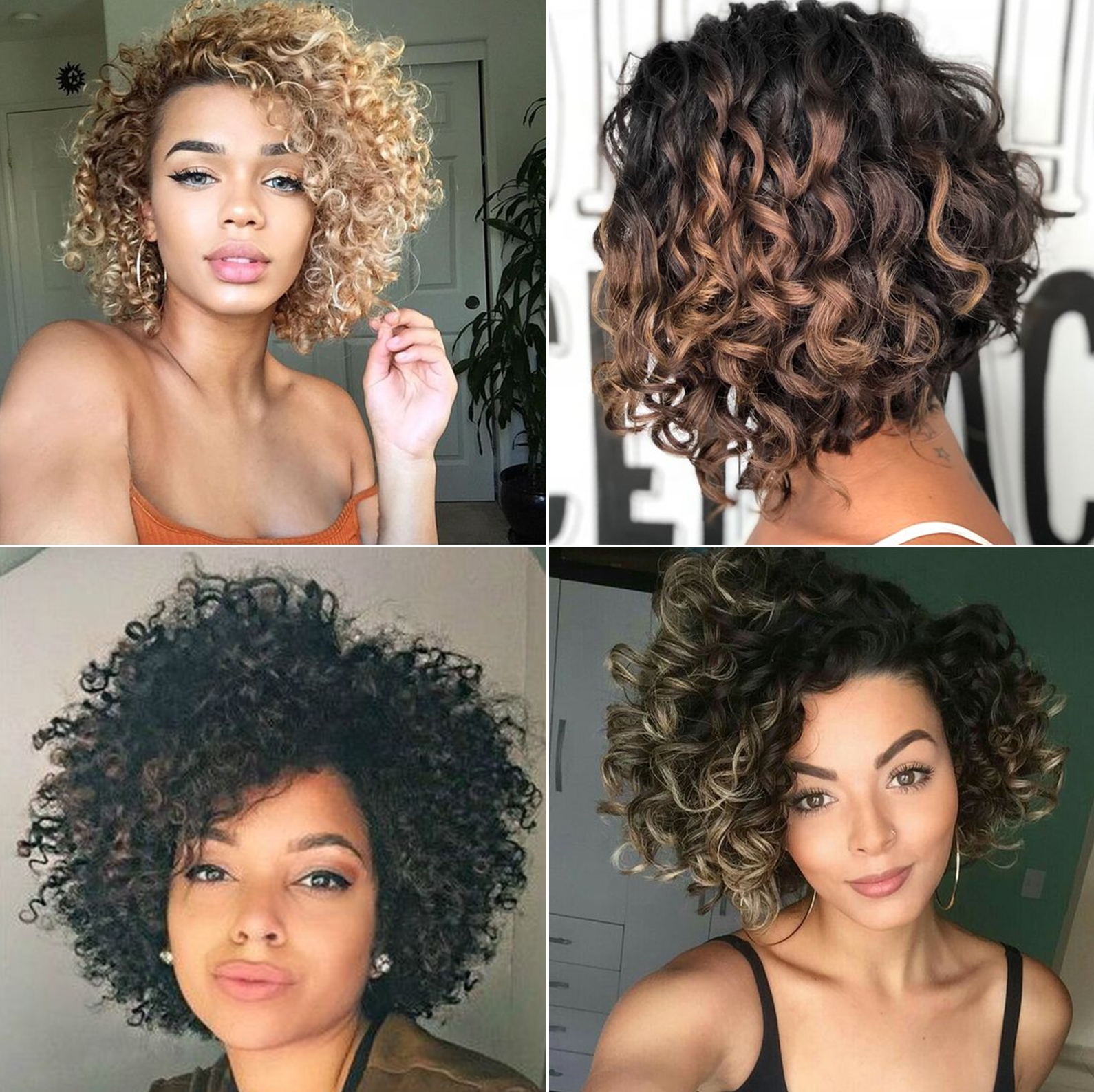 cabelo crespo curto 2026