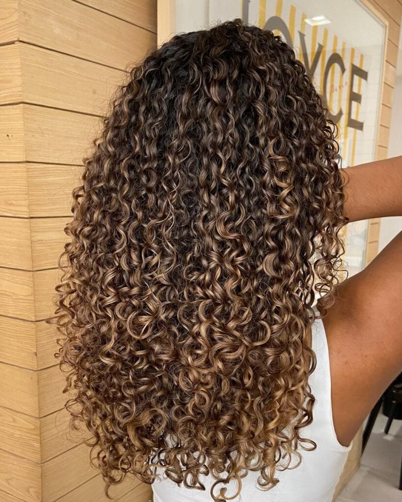 Inspirações de Loiro Escuro com Luzes Caramelo: Fotos e Tendências para 2024