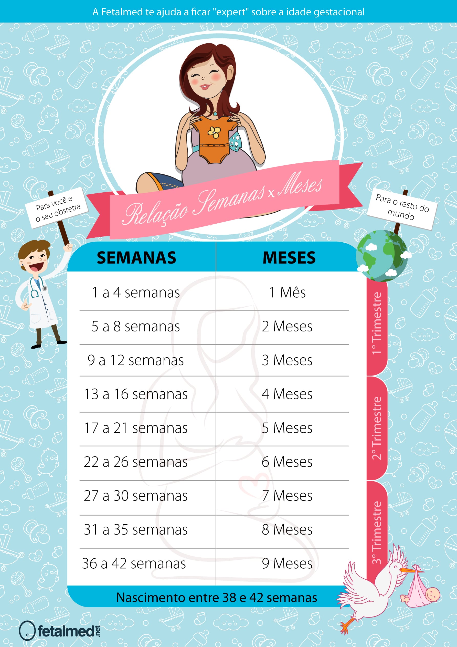 Ultrassom na Gravidez: Como Ele Ajuda a Definir a Idade Gestacional