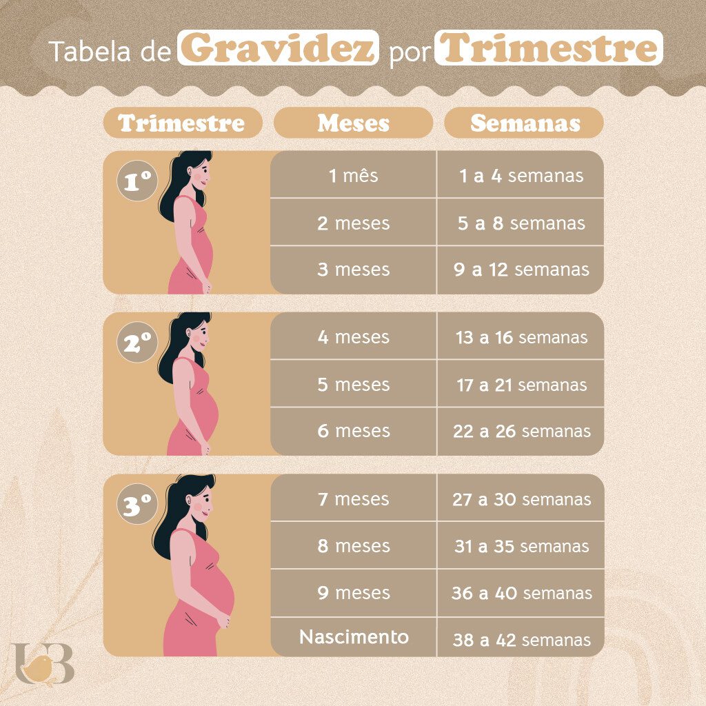 Mitos e Verdades Sobre o Cálculo de Semanas e Meses de Gravidez