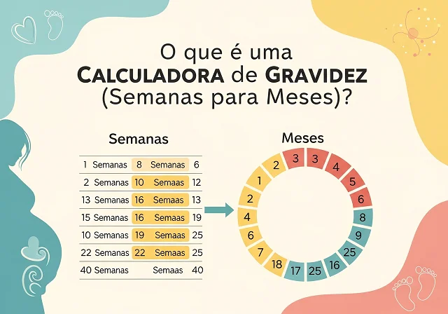 Calculadora Gravidez Meses