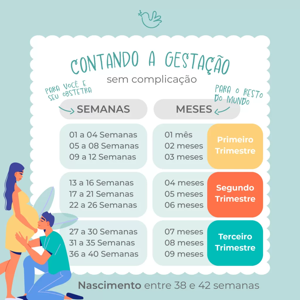 Ultrassom na Gravidez: Como Ele Ajuda a Definir a Idade Gestacional