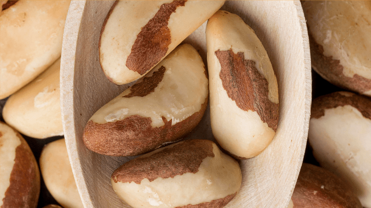 5 ideias de títulos:
1. Castanha-do-Pará: O Superalimento Essencial para sua Saúde
2. Descubra os Incríveis Benefícios da Castanha-do-Pará para o Corpo e Mente
3. Castanha-do-Pará: Guia Completo de Consumo e Benefícios
4. A Importância do Selênio: Como a Castanha-do-Pará Pode Ajudar
5. Castanha-do-Pará: Receitas Saudáveis e Dicas de Consumo