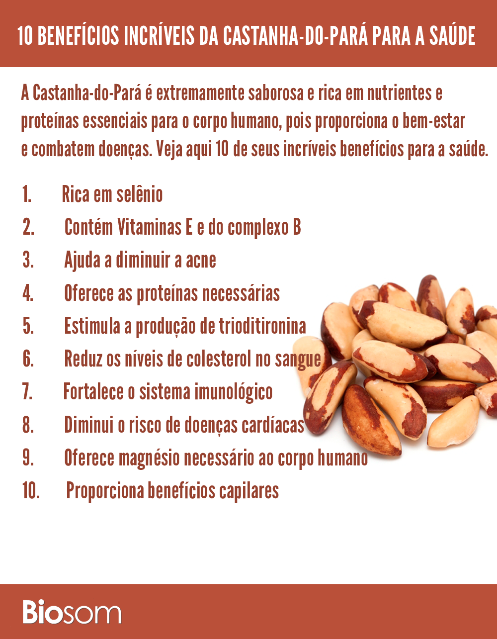 Castanha Do Pará Benefícios