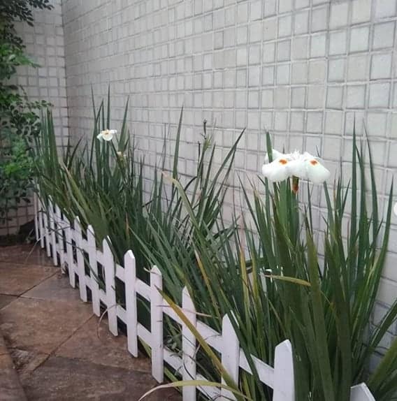 cerquinha para canteiro de flores