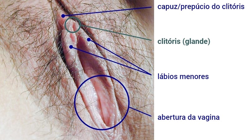 dicas para gozar mais rápido homem