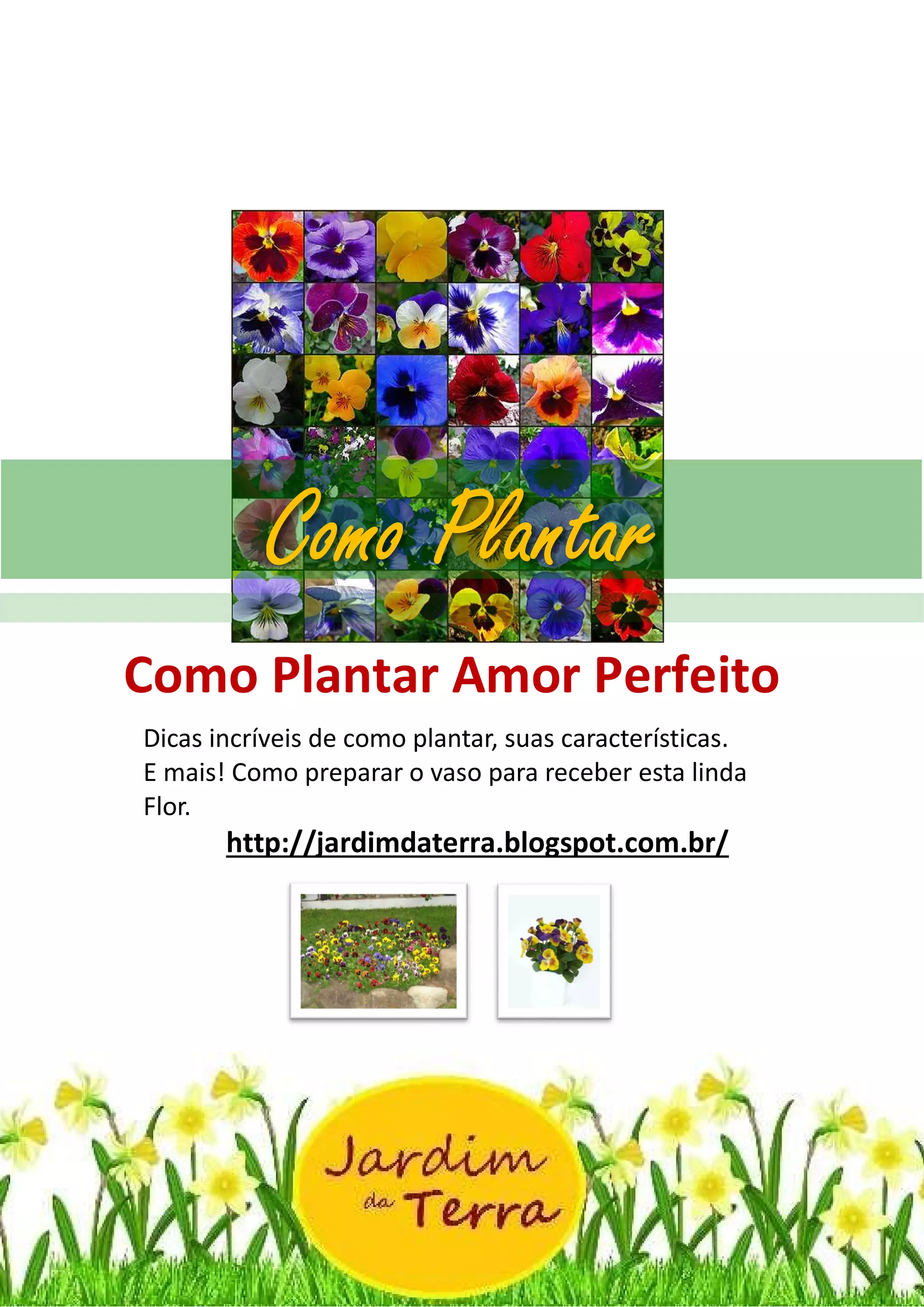 Receitas com Flores Comestíveis: Amor-Perfeito na Culinária