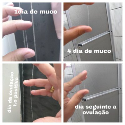 erros comuns ao tentar identificar ovulação