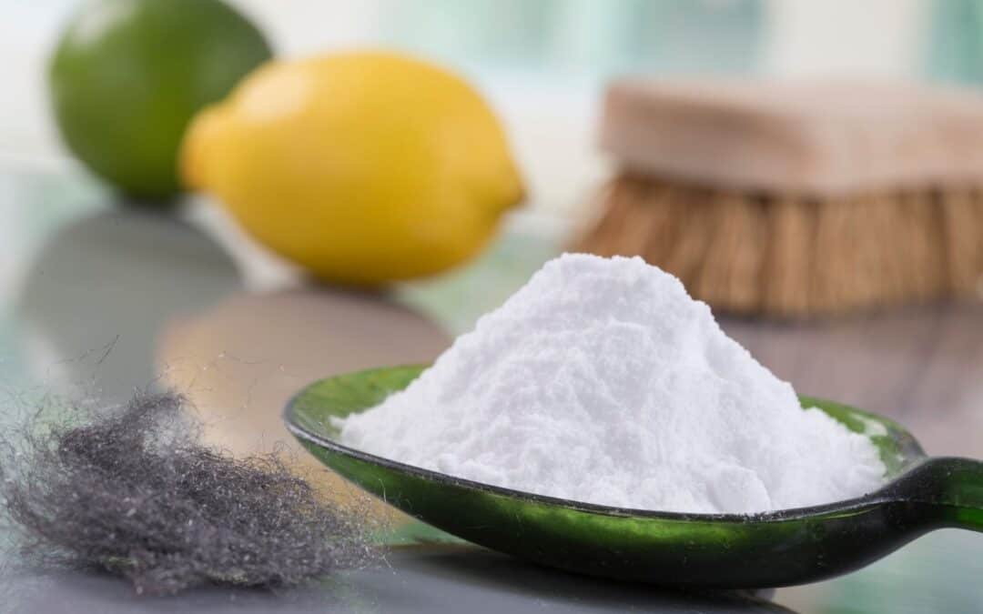 Mofo na Parede: Soluções Definitivas para Infiltrações e Manchas