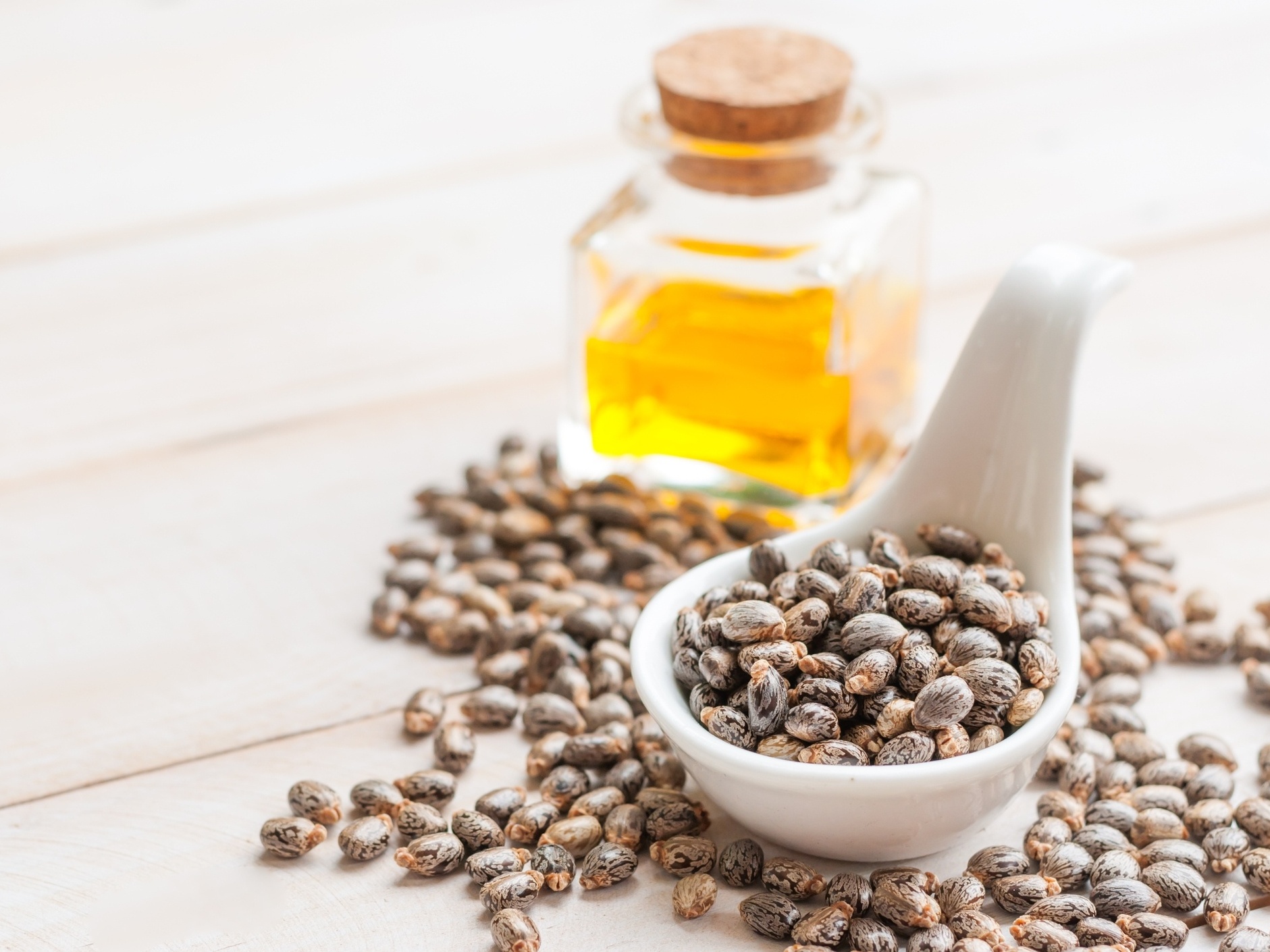 Óleo de Rícino para Sobrancelhas e Cílios: Guia Completo