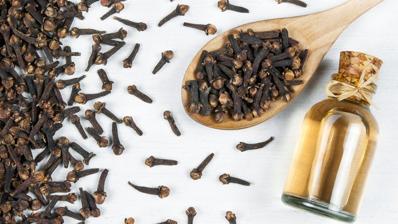 Combata a Queda de Cabelo com o Poder do Cravo da Índia