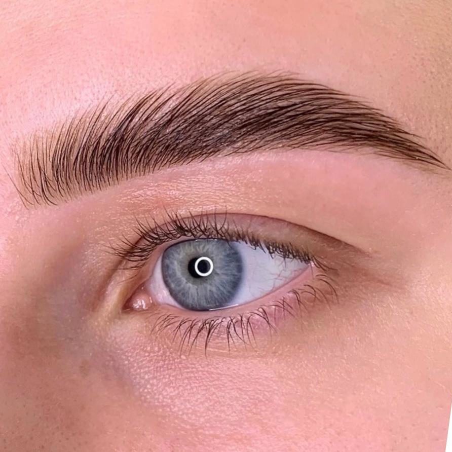 curso brow lamination online