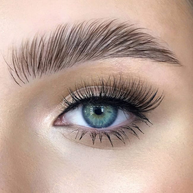 curso brow lamination 2026