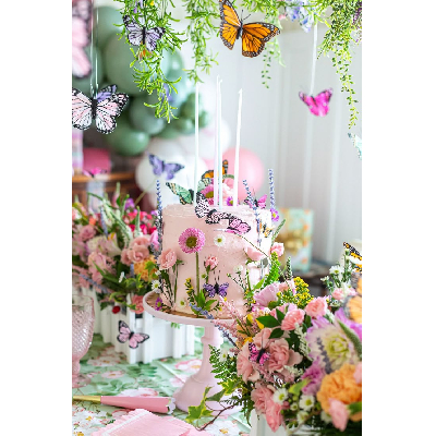 decoração jardim das borboletas