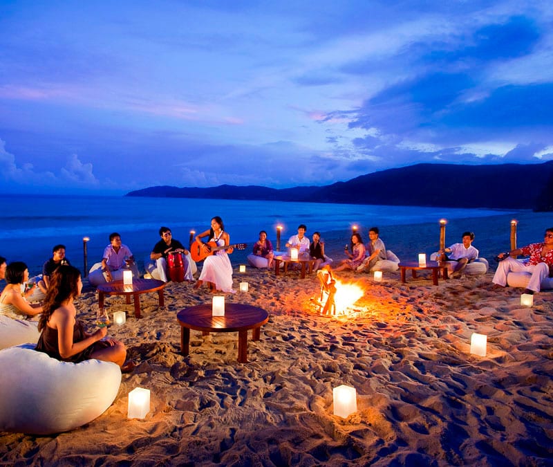 Guia Completo de Flores Tropicais para sua Decoração de Luau