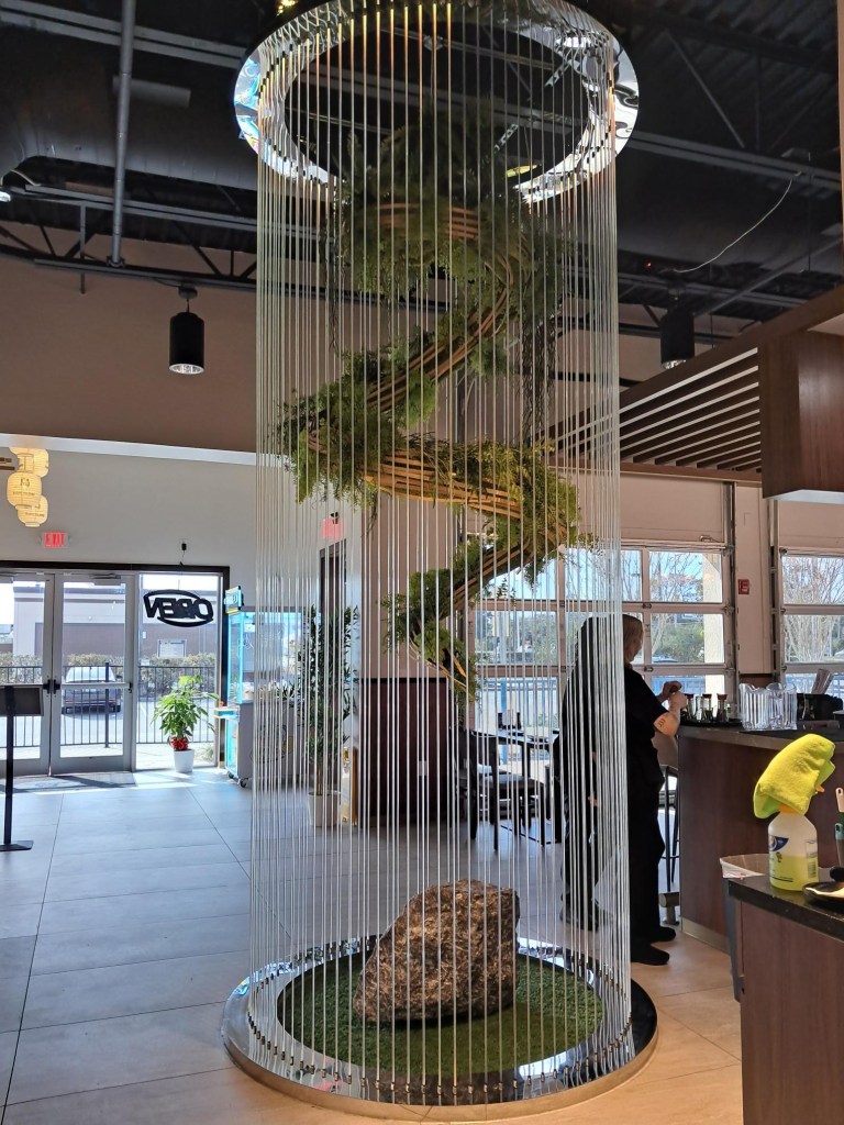 Rosa e Preto ou Rosa e Dourado? Escolha a Combinação Ideal para seu Perfil Moot