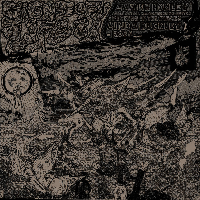 Bio Decorada e Carrd: Símbolos e Fontes para seu Moot Theme Rosa