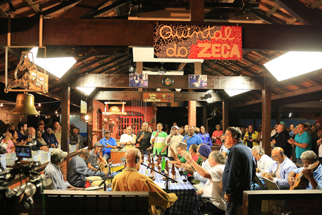 Guia Completo para uma Festa de Aniversário Zeca Pagodinho Inesquecível