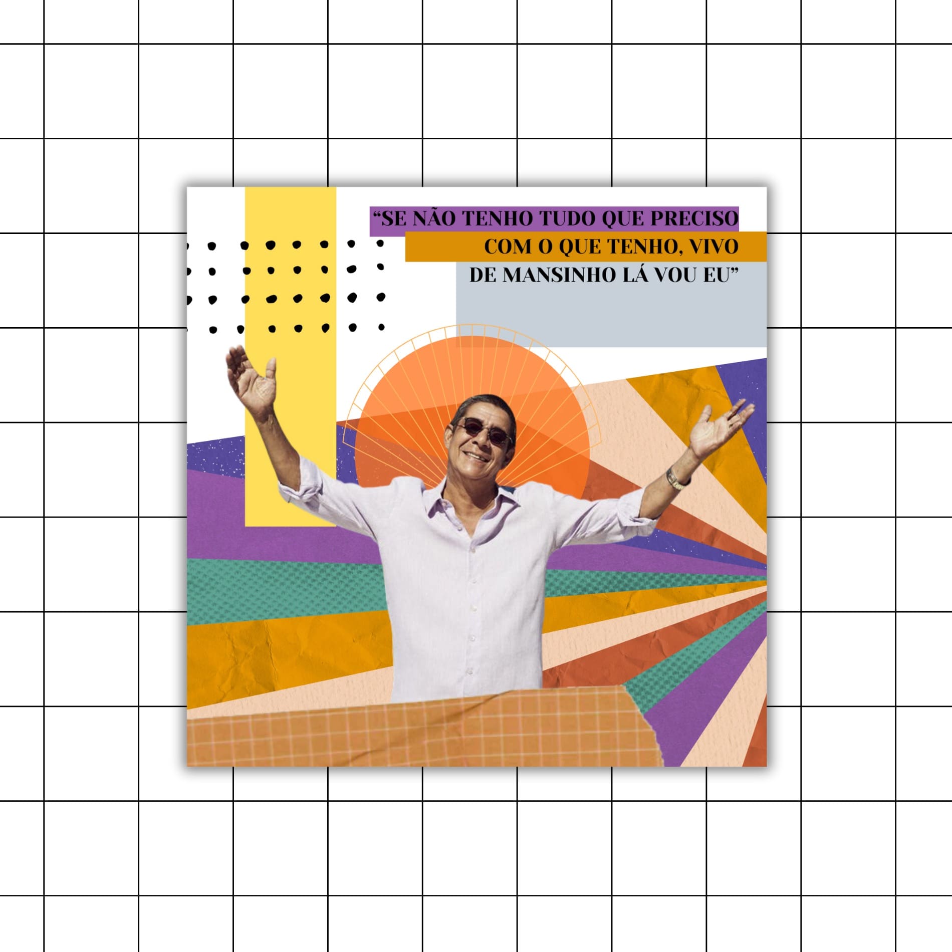 Onde Comprar Decoração Zeca Pagodinho: Painéis