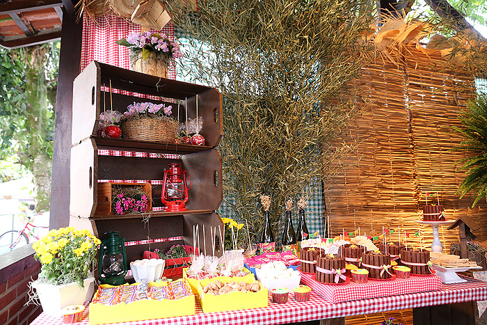 Guia Completo para uma Festa de Aniversário Zeca Pagodinho Inesquecível