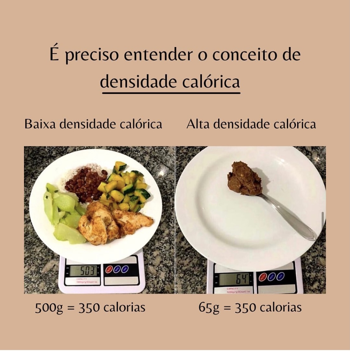 Como Calcular e Otimizar a Densidade Nutricional das Suas Refeições