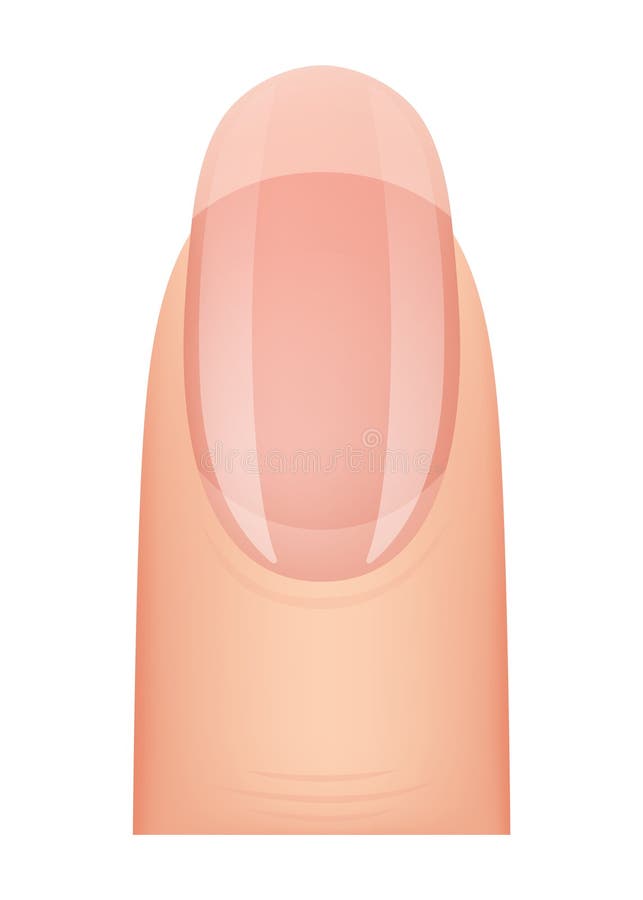 desenho de unha
