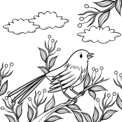 desenhos de pássaros para colorir com nome