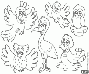 desenhos de pássaros para crianças