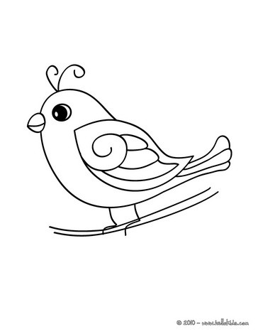 desenhos de pássaros em PDF