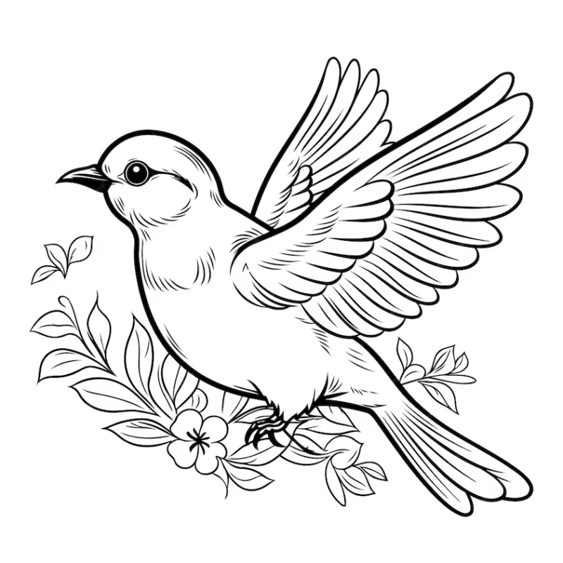 desenhos de pássaros realistas para colorir