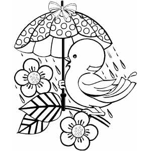 desenhos de pássaros para pintar