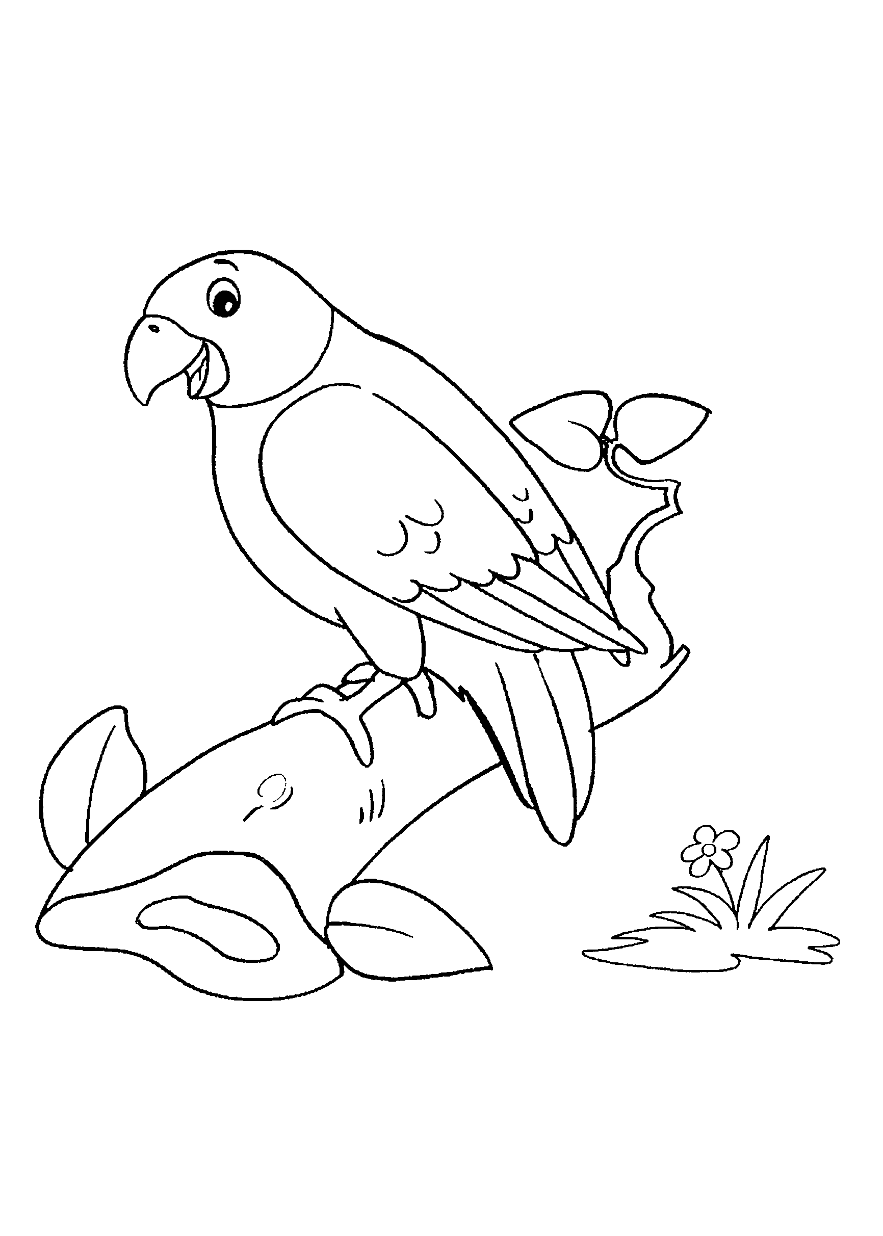 desenhos de pássaros para adultos