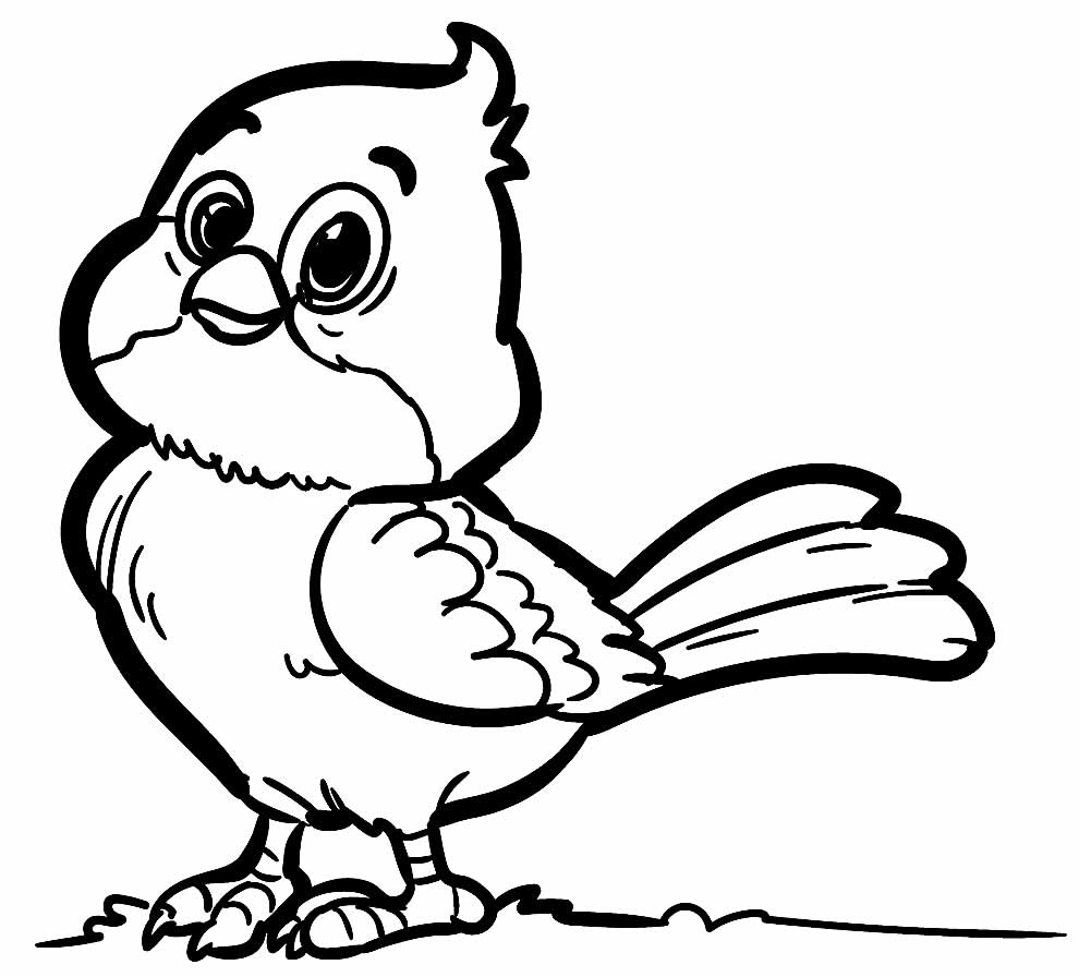 desenhos de pássaros para pintar