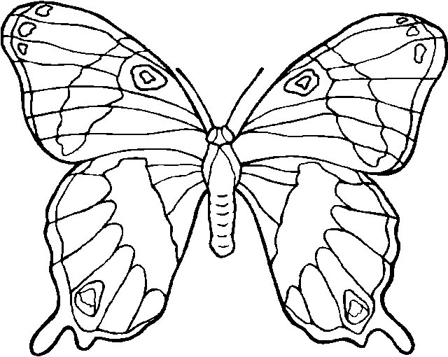 desenhos de animais bebês para colorir