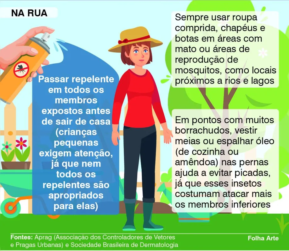 o que atrai pernilongos para minha casa erros comuns